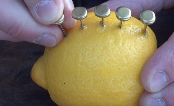 Rus mühendis limon ile öyle bir deney yaptı ki!