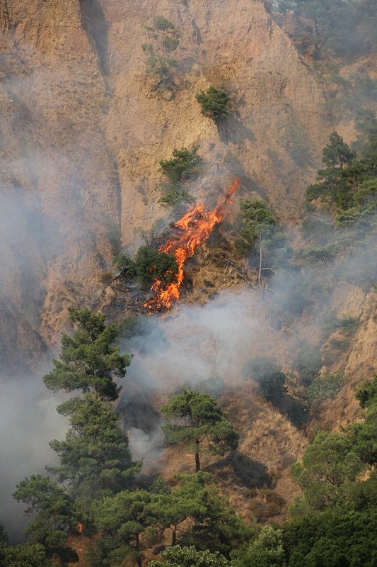 Aydın’da 2 noktada yangın çıktı