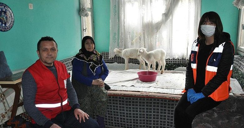 72 yaşındaki Emine teyze, kuzuları için 112’den yardım istedi