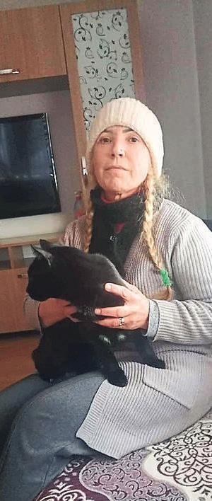 Bir yavru kedi ile değişen hayat