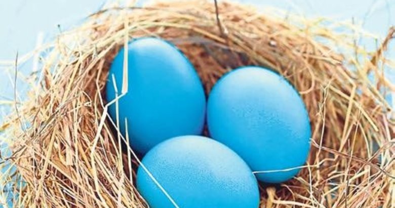 Mavi yumurta çocuğun zeka gelişiminde etkili