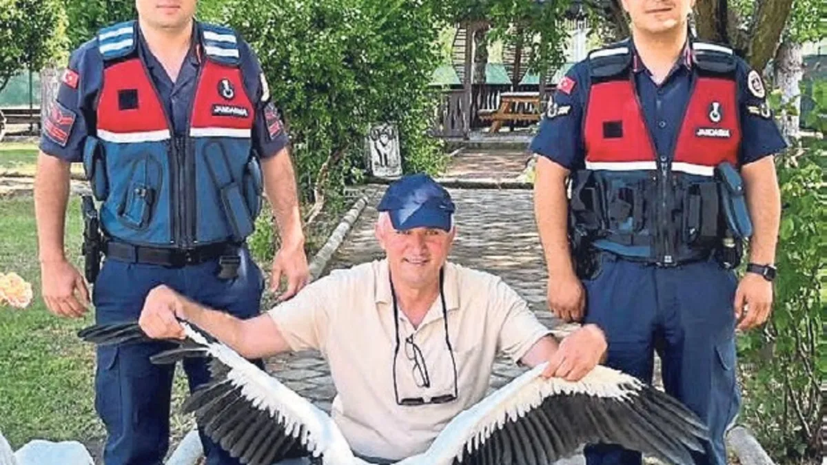 Yaralı leylek için seferber oldular