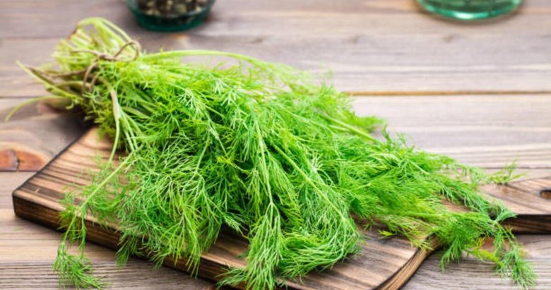 Dereotunun 9 faydası