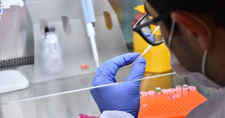 Yerli kuduz aşısında klinik öncesi aşamaya geçildi