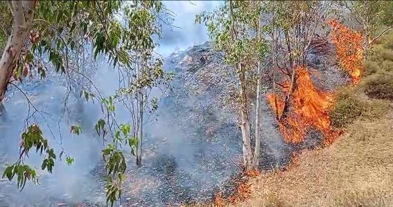İzmir’de ormanlık alandaki yangın korkuttu