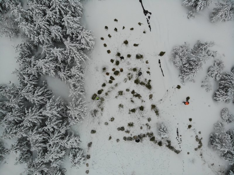 Kütahya’da kızıl geyiklerin beslenme anları fotokapanla görüntülendi