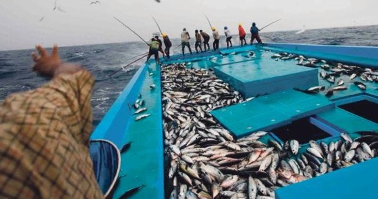 Balıkçılık sektöründen 1 milyon tonluk rekor