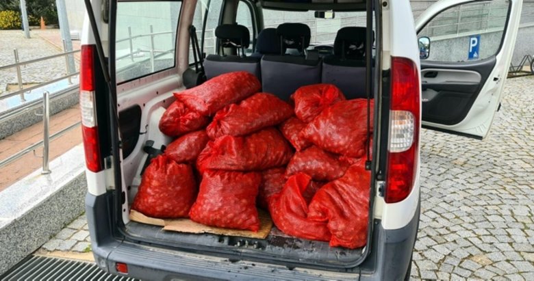 İzmir’de şüphe üzerine durdurulan araçta 400 kilo canlı midye yakalandı