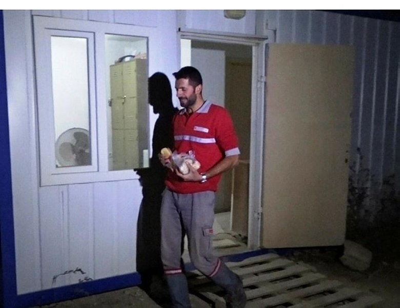 Yürek ısıtan dostluk! Geceleri iş yerine gelen tilkileri eliyle besliyor