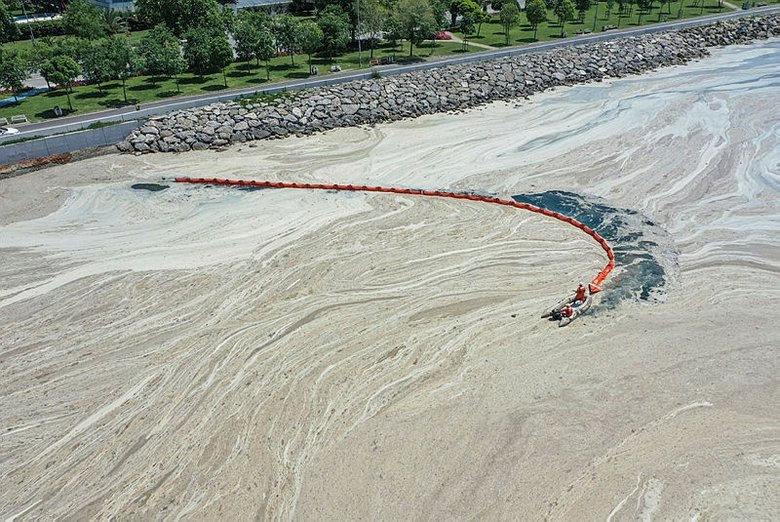 Son dakika: Bakan Murat Kurum Marmara’daki müsilaj için Eylem Planı’nı açıkladı! 8 Haziran’da deniz temizliği başlıyor