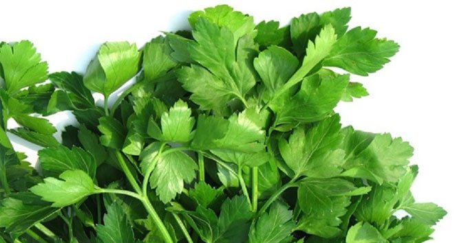 İki malzemeyle toksinlere elveda! Maydanoz limon kürü nasıl yapılır? Kime yarar kime zarar?