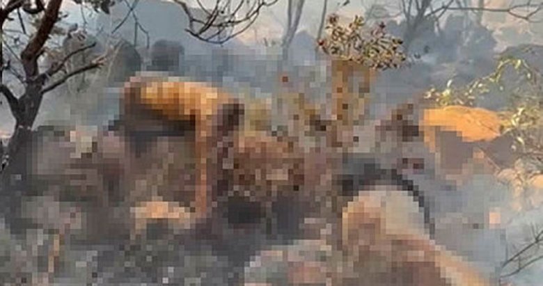 Marmaris’te dün çıkan orman yangınının altından şok edici bir olay çıktı!