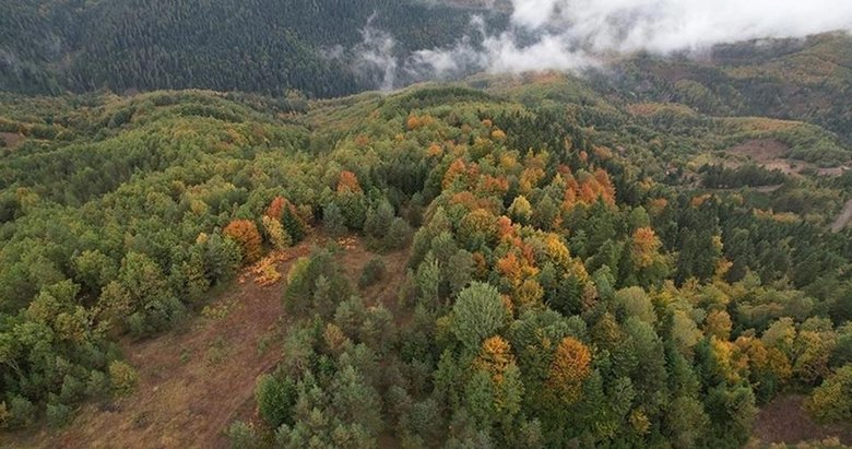 Muğla’da kritik kararlar! 31 Ekim’e kadar yasak