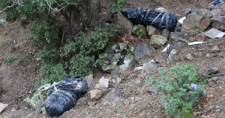 İzmir’de ormanlık alandaki çöp poşetlerinden köpek ölüleri çıktı