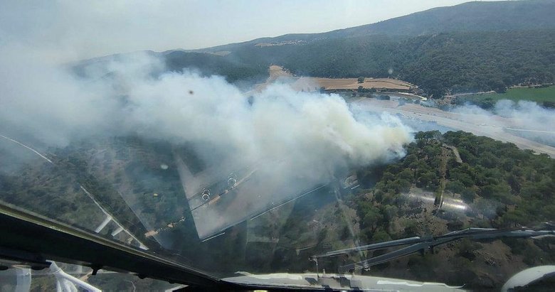 Son dakika: Çanakkale’deki orman yangını kontrol altında