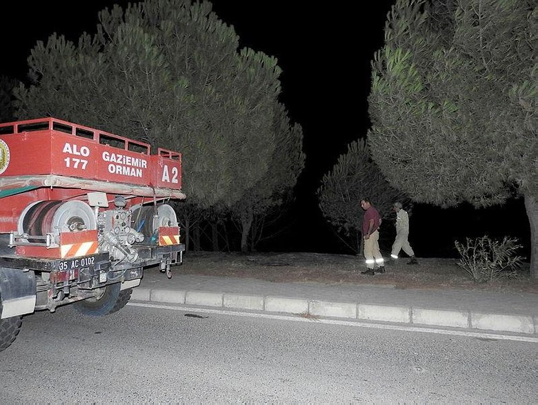 İzmir-Çeşme yolunda ot yangını! Anında kontrol altına alındı