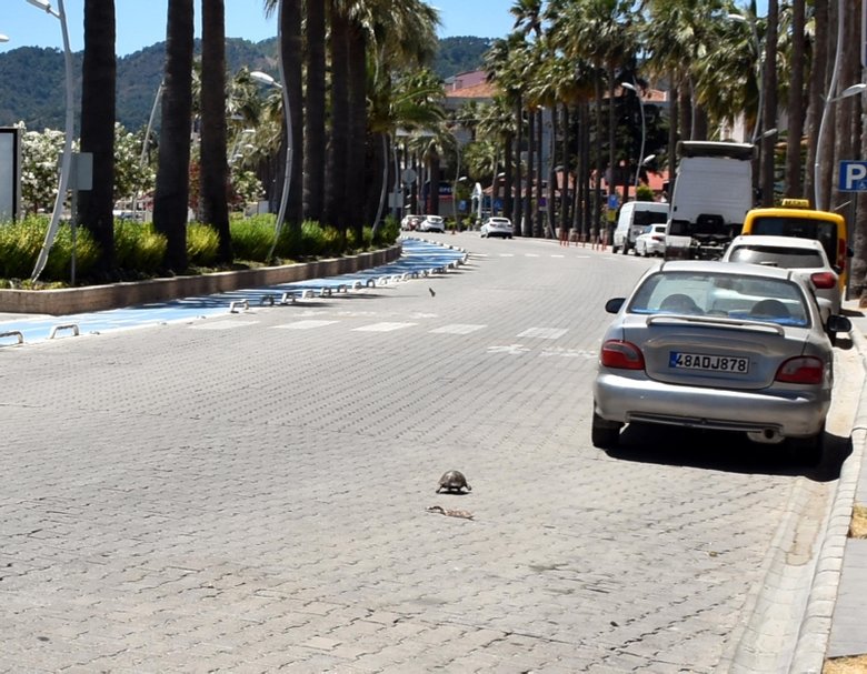 Marmaris plaj ve ana caddesinde şaşırtan görüntü