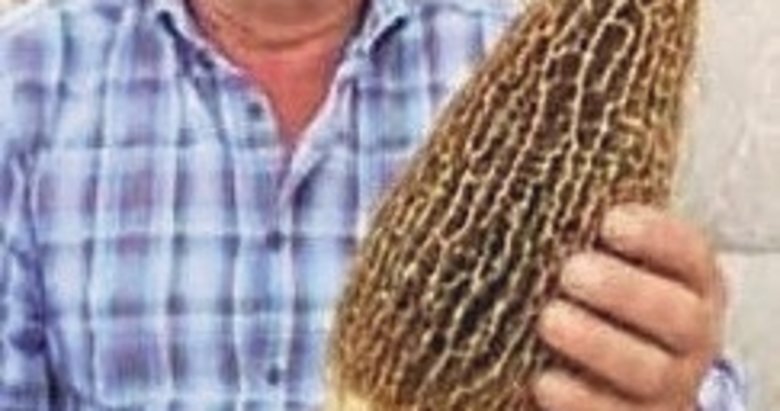 1 kilo 850 gramlık dev kuzugöbeği şaşırttı