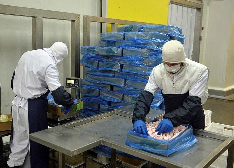 Çinliler buna bayılıyor: Tavuk ayağı Uşaklılara gelir kapısı oldu