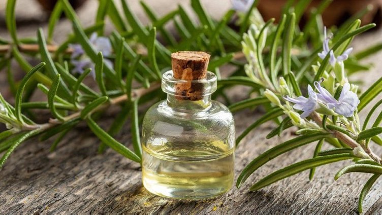 Biberiye yağı neye iyi gelir? Faydaları nelerdir?