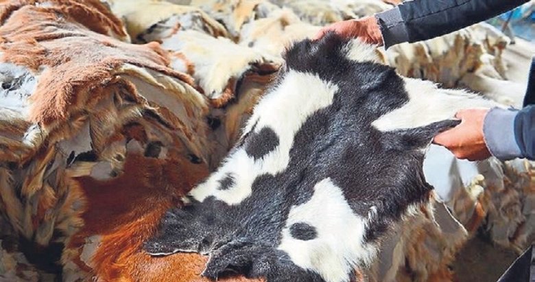 Kurban derileri sektöre can suyu oluyor