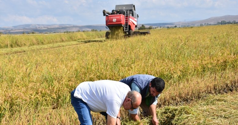 Balıkesir’de dünyaca ünlü Gönen baldosunda hasat başladı