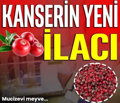 Kanserin yeni ilacı