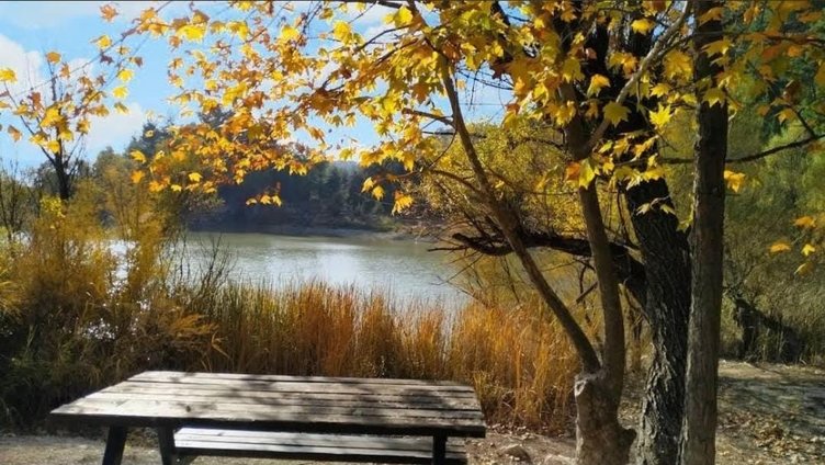 Kuruyan Kolak Gölü için kollar sıvandı