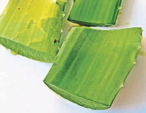 Şifalı bitkilerle lekesiz ciltler