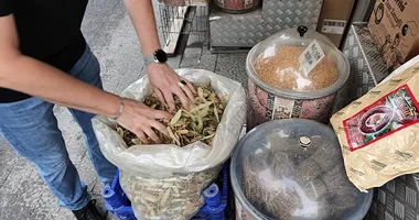 Kış yaklaştı! Aktara koşun!