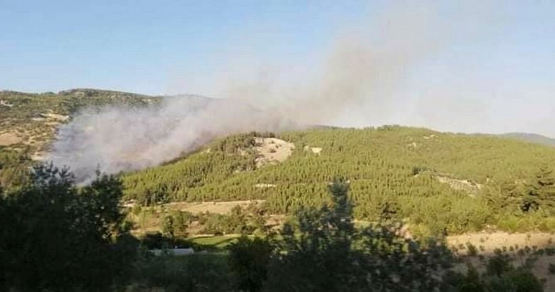 Denizli’deki orman yangını büyümeden söndürüldü