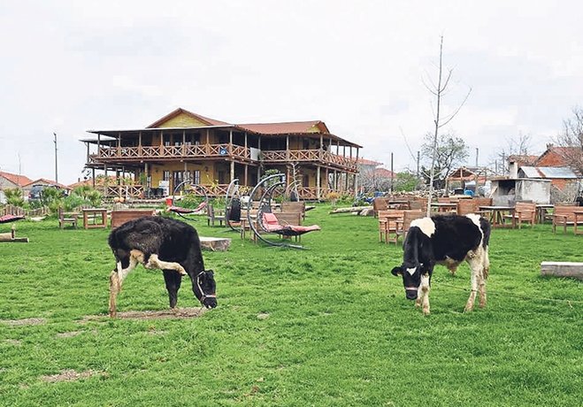 Ulamis Koyu Nde Dogayla Ic Ice Bir Mekan Ozel Haberleri