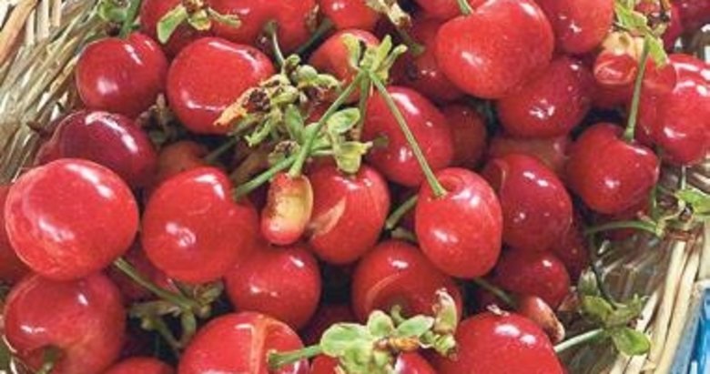 Kirazda ihracat hedefi 300 milyon dolar