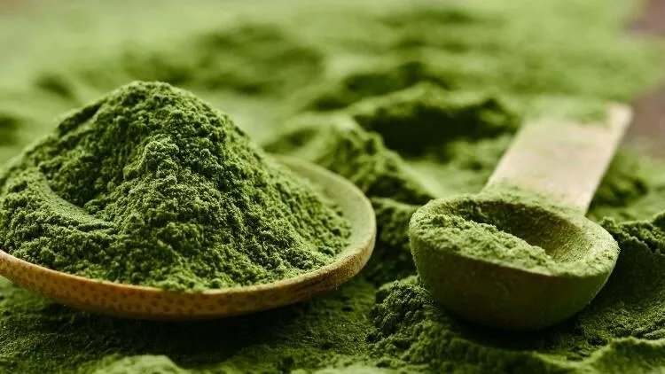 Chlorella Klorella nedir? Neye iyi gelir?
