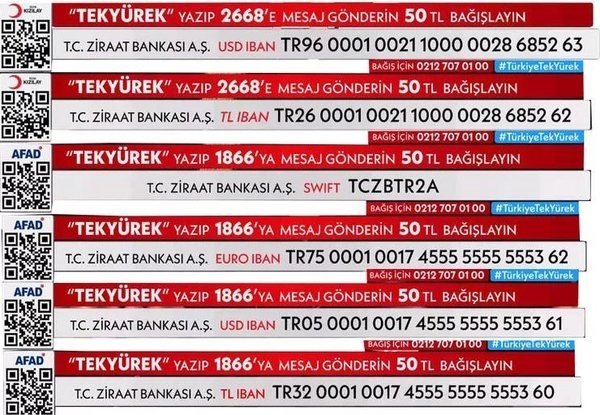 Asrın dayanışması: Türkiye Tek Yürek