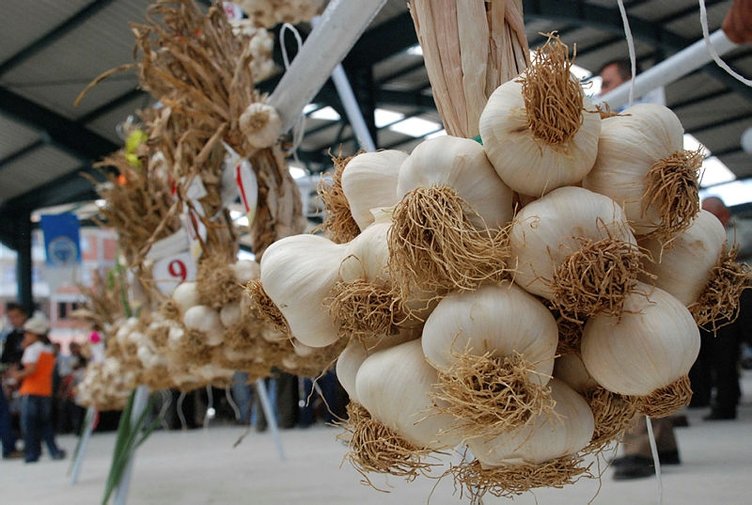 Sarımsağı balla tüketirseniz ne olur? Etkisi inanılmaz