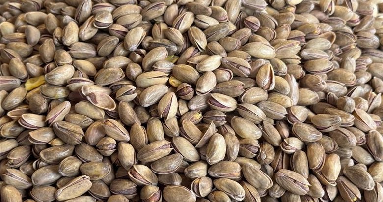 Türkiye’den yılın ilk çeyreğinde 59,7 milyon dolarlık fıstık ihraç edildi