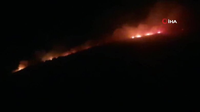 Aydın’da makilik alanda yangın