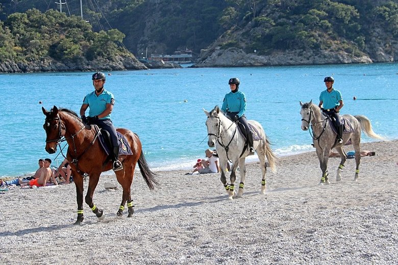 atli-jandarma-ekibi-mugla-oludenizde-goreve-basladi-1780922418386.jpeg