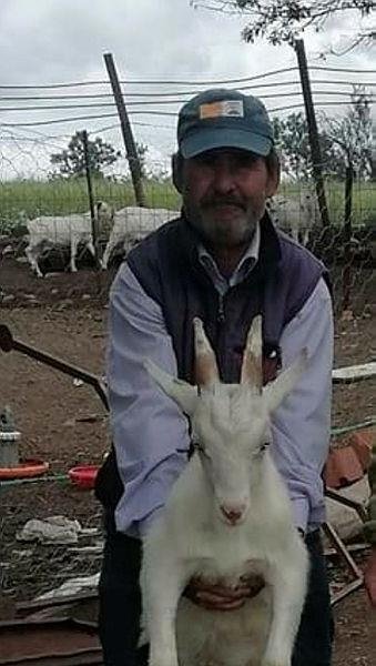 Baba ve oğuldan kahreden haber! Her şey yarım saat içinde oldu