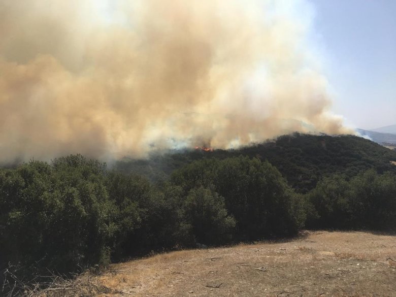 Denizli’de 2 kere kontrol altına alınan yangın tekrar başladı