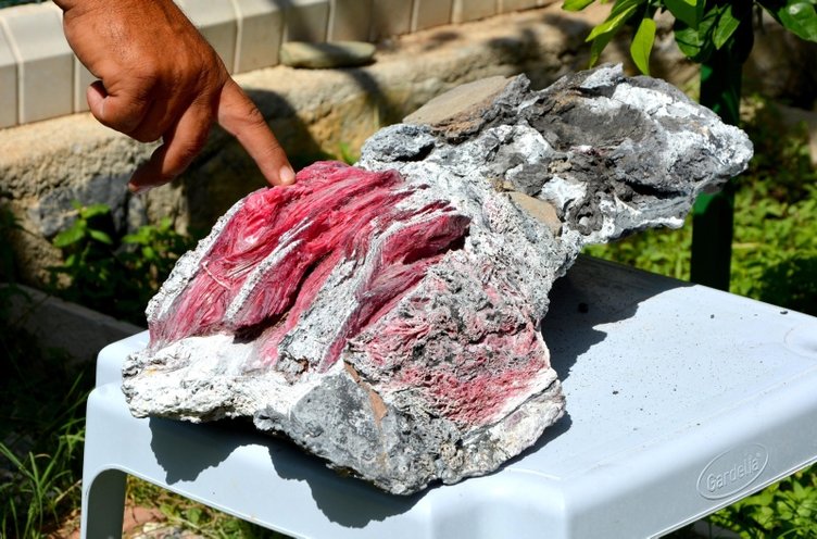 Muğla’da bir kişi denizde fosil buldu