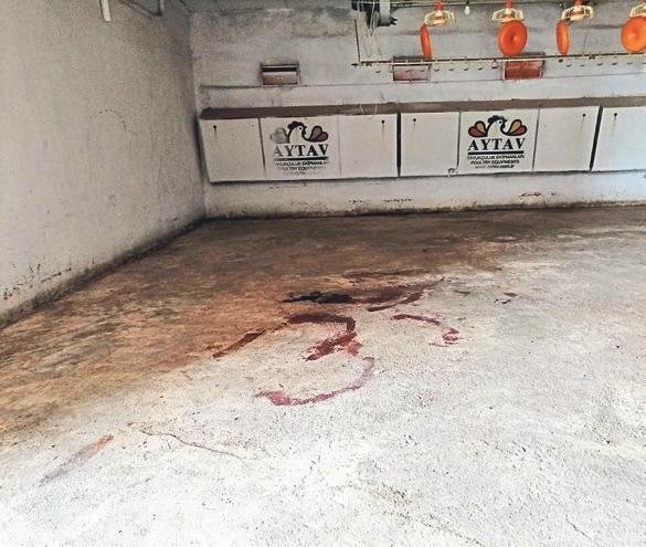 ‘Yapma diye yalvardı ama durmadım, devam ettim’