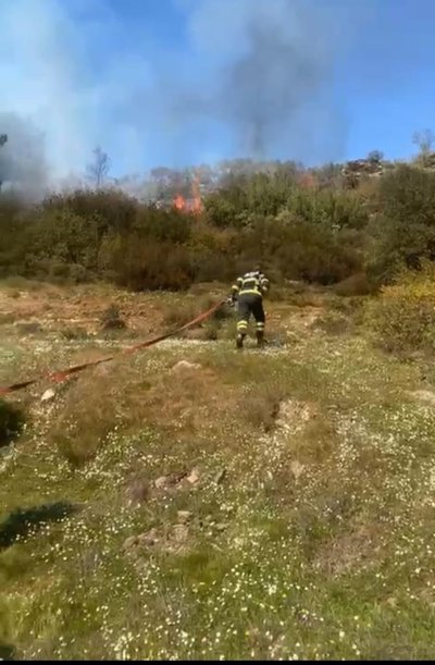 Aydın’da yangın! İtfaiye ekipleri hızla harekete geçti