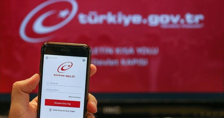 Risk Raporu e-Devlet’ten ücretsiz olarak alınabilecek