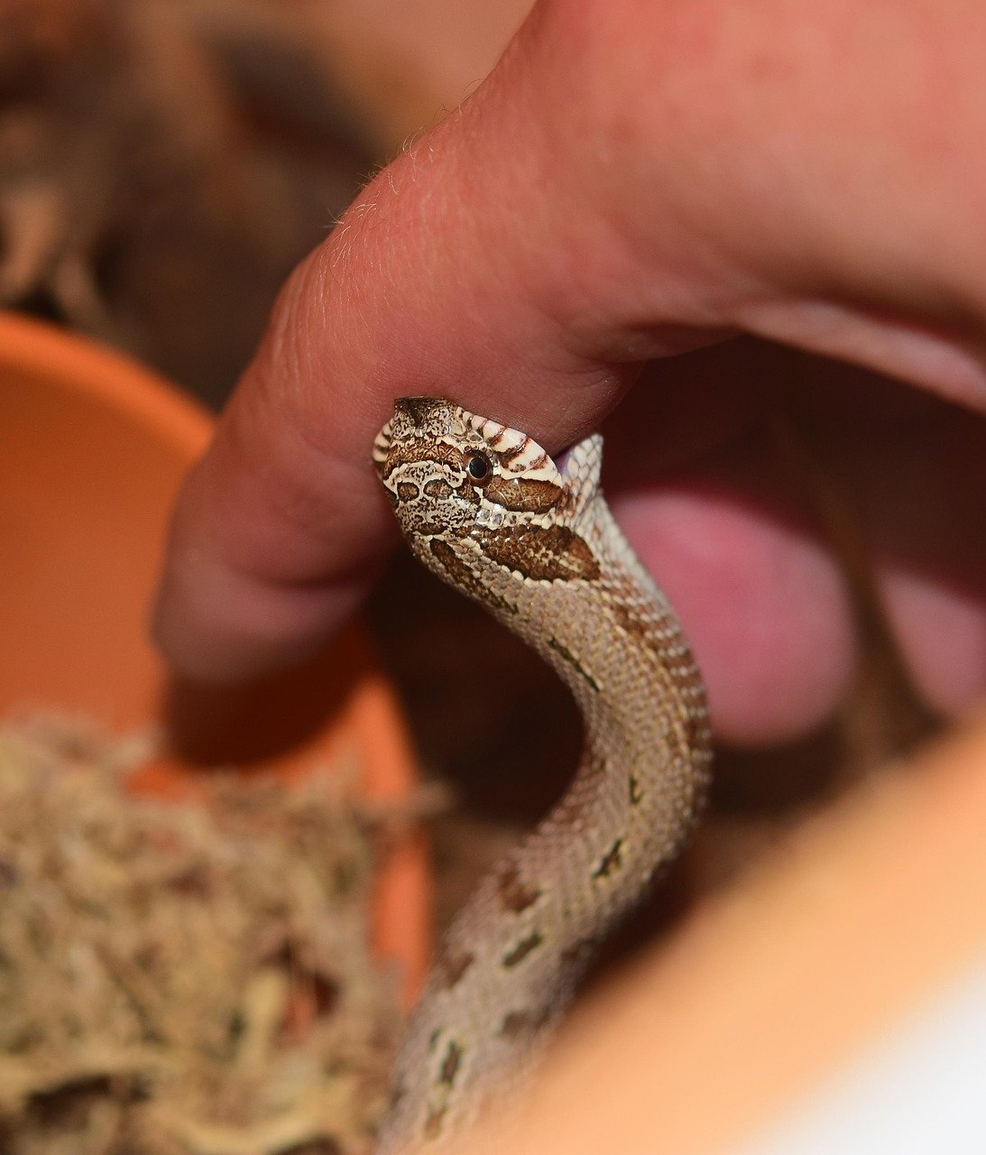 Gece Açlık Krizi: Vücudunuzun Gizli Uyarı İşaretleri mi?