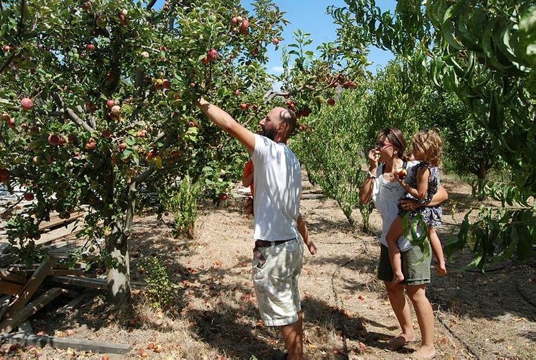 İsviçre’de evlenen çift, Alpler yerine Kazdağları’nda yaşamayı tercih etti