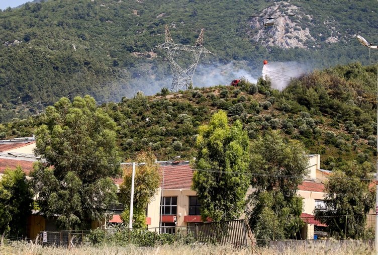 İzmir Bornova’da orman yangını