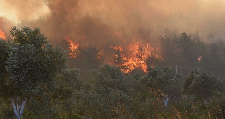İzmir’deki orman yangınlarının nedeni ne? Uzmanından dikkat çeken açıklama