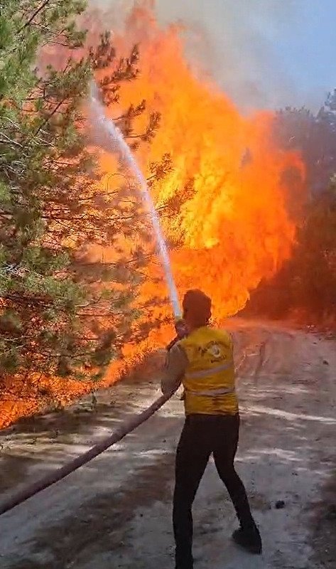 Aydın’da kış ortasında orman yangını!